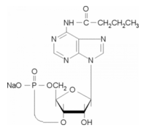 N6-Монобутириладенозин 3 ': 5'-циклическая монофосфатная натриевая соль Sigma M1380
