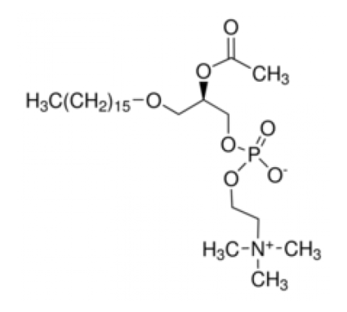 βАцетиββ O-алкил-ββ фосфатидилхолин из лецитина бычьего сердца 99%, лиофилизированный порошок Sigma P7568