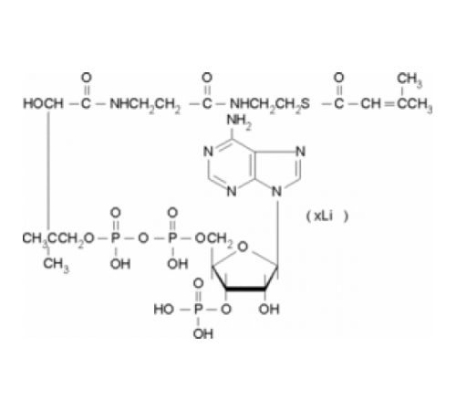 βМетилкротонил-кофермент литиевая соль 90% Sigma M3013