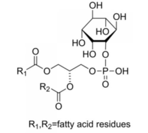 ββ Фосфатидилинозитол из глицина макс (соя) ~ 50% (ТСХ) Sigma P6636