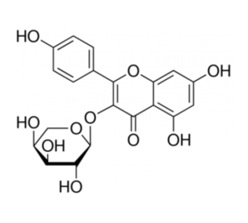 Кемпферол 3-ββ L-арабинопиранозид 95% (ВЭЖХ) Sigma 07489