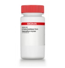 βГалактозидаза из Aspergillus oryzae 8,0 Единиц / мг твердого вещества Sigma G5160