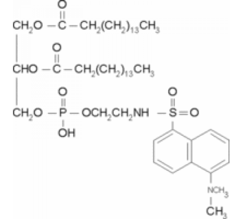 ββ фосфатидилэтаноламин, дипальмитоил, N-дансил 2 мкг / мл в хлороформе / метаноле (4: 1), ~ 98% Sigma P3656