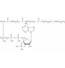 Пальмитолеоил-кофермент А литиевая соль ~ 90% Sigma P6775