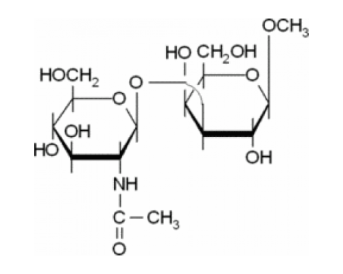 Метил 3-O- (N-ацетиββ D-глюкозаминилββ D-галактопиранозид Sigma M0775