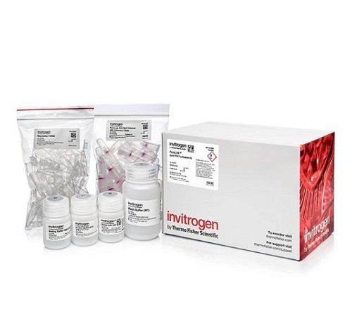 Набор PureLink PCR Purification Kit, Thermo FS Набор PureLink PCR Purification Kit, Thermo FS